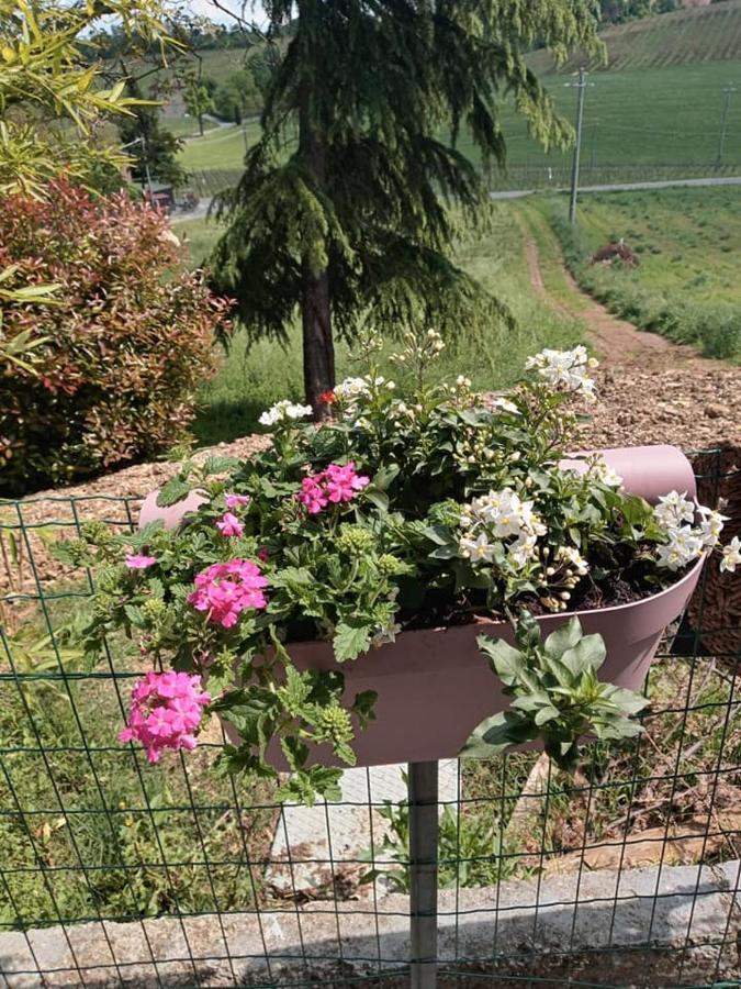 Bb Lady Bed and Breakfast Castelvetro di Modena Εξωτερικό φωτογραφία