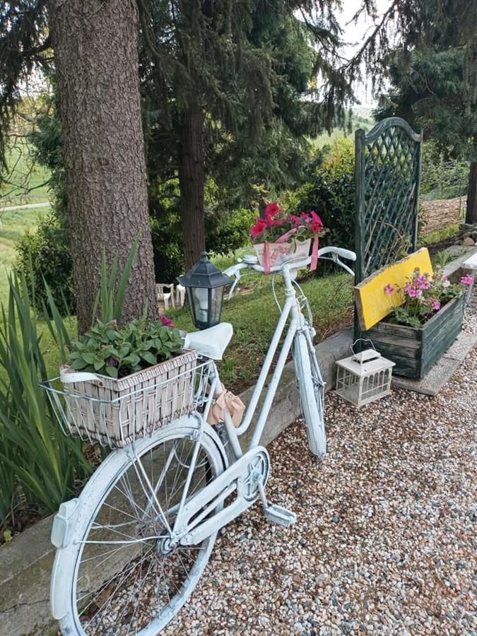 Bb Lady Bed and Breakfast Castelvetro di Modena Εξωτερικό φωτογραφία